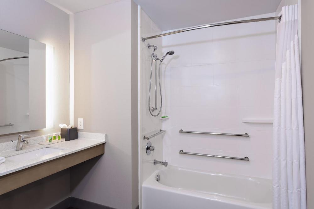 Deluxe Twin Room - Mobility Access Tub interior